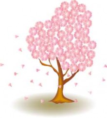 桜