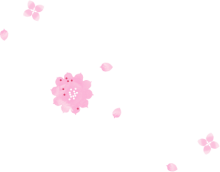 aboutBg01