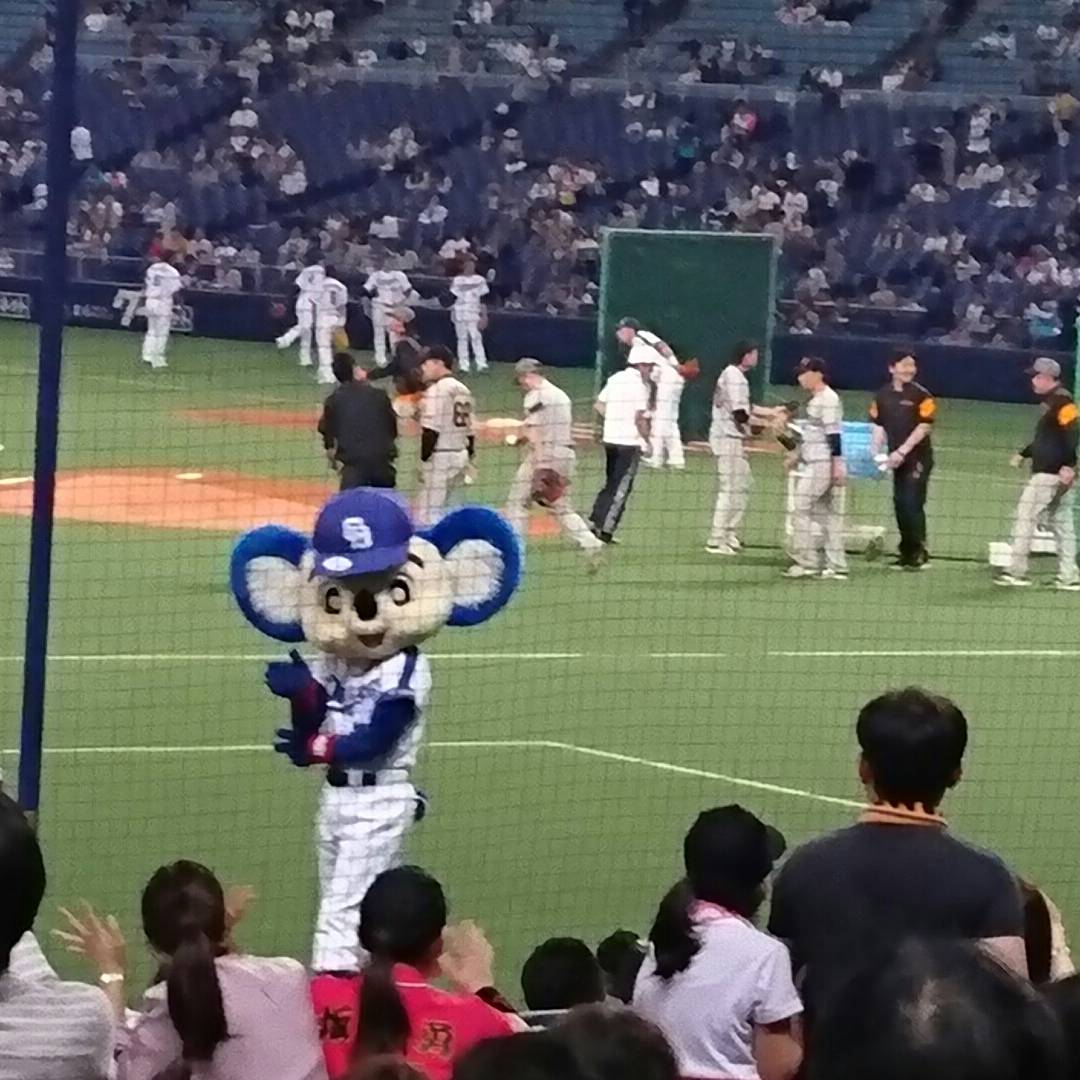 中日ｖｓ巨人ｉｎナゴヤドーム Menicon Miru アスナル金山店 コンタクトレンズ販売店のメニコンショップナビ