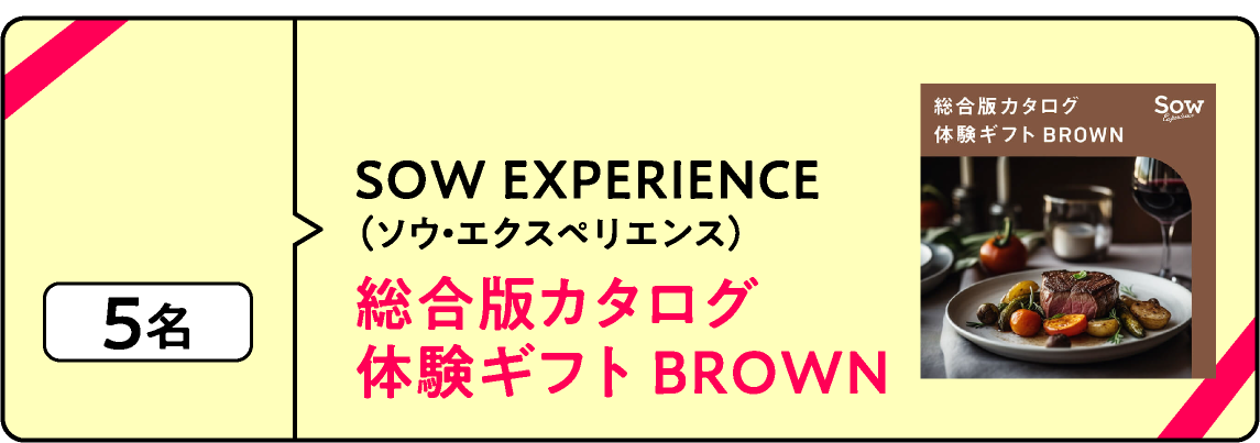 SOW EXPERIENCE（ソウ・エクスペリエンス）総合版カタログ 体験ギフト BROWN 5名