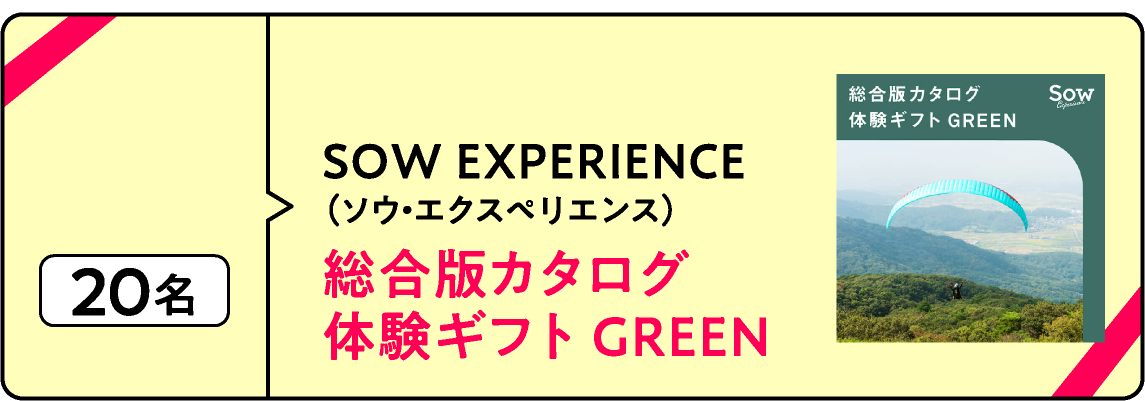 SOW EXPERIENCE（ソウ・エクスペリエンス）総合版カタログ 体験ギフト GREEN　20名