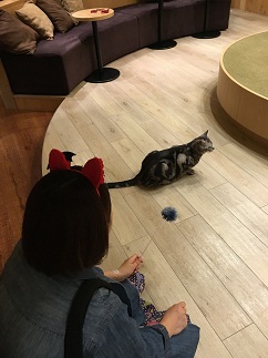 みぞたさんと猫④.JPG