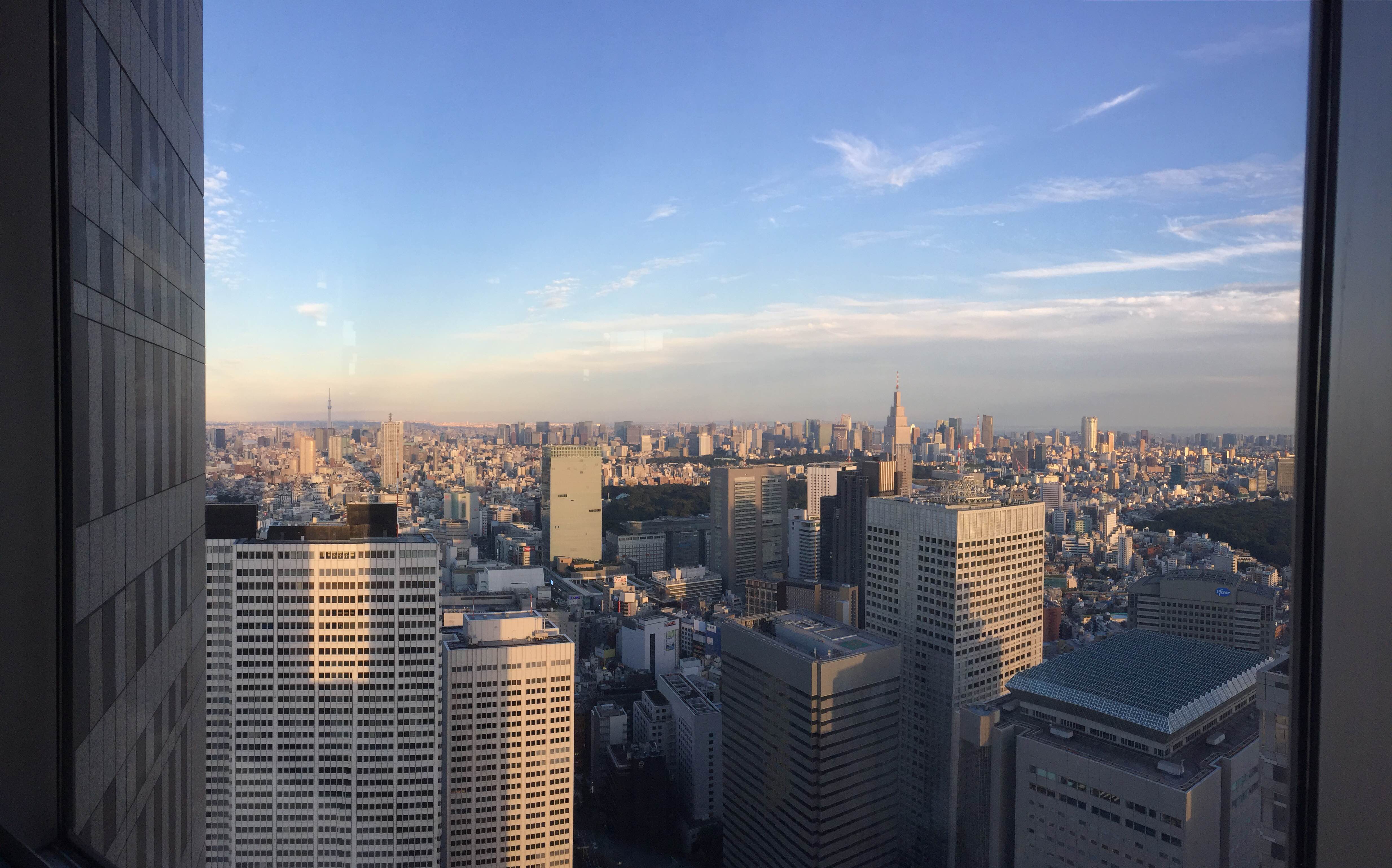 東京タワーとスカイツリー.JPG