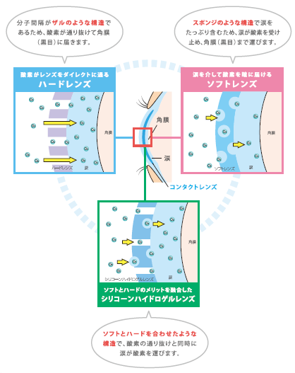 コンタクト酸素通す仕組み.png