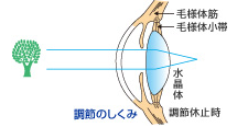 遠くを見ている時