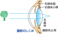 ＤＵＯ遠方.jpg