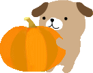 ハロウィンわんこ.gif