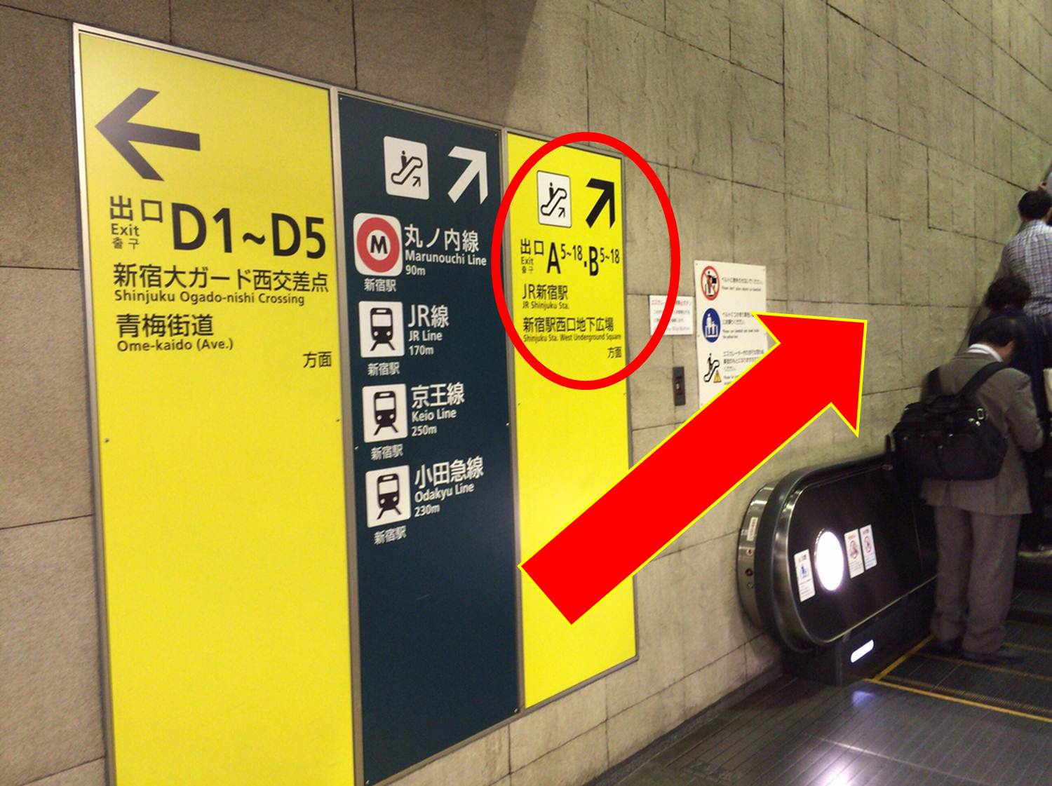 東京メトロ(丸の内線、都営大江戸線)からお越しの方へ｜Menicon Miru