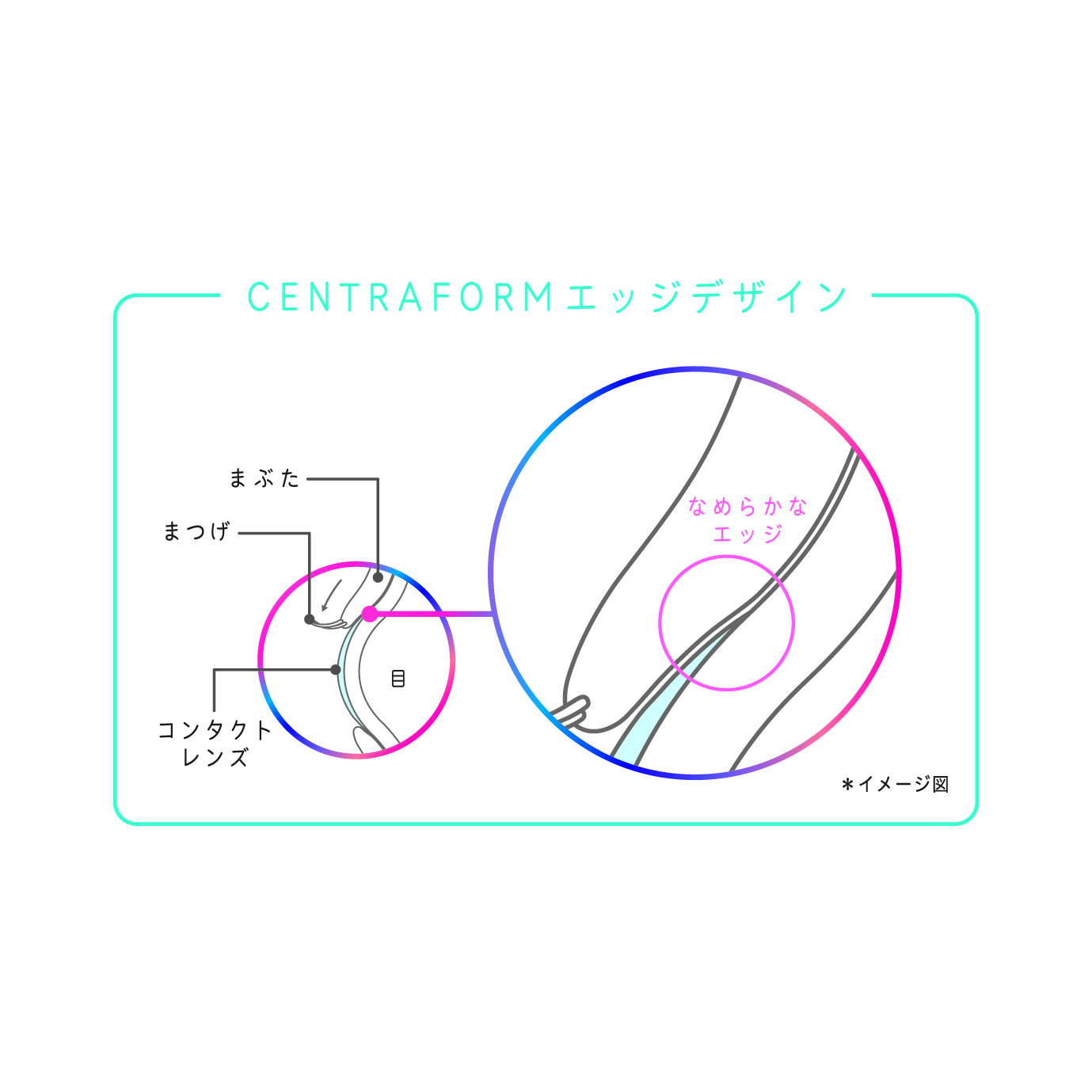 メニコン_Magic_パンフ_イラスト_0206_2.jpg