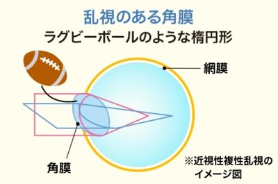 スクリーンショット_6-9-2025_17345_mirulab.jp.jpeg
