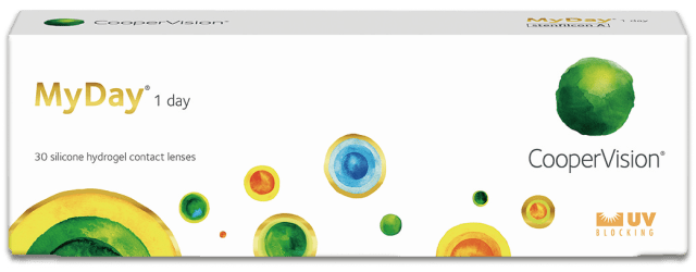 types-myday1day.png