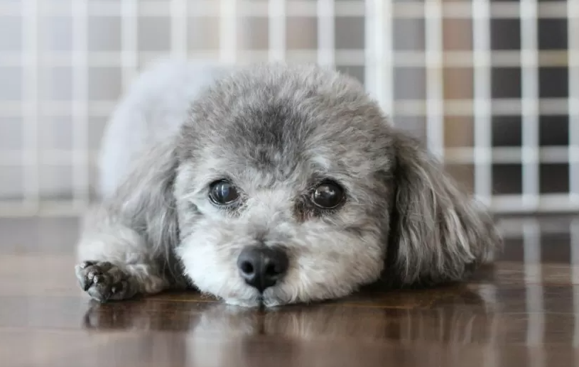 スクリーンショット 2025-12-21 130842.png