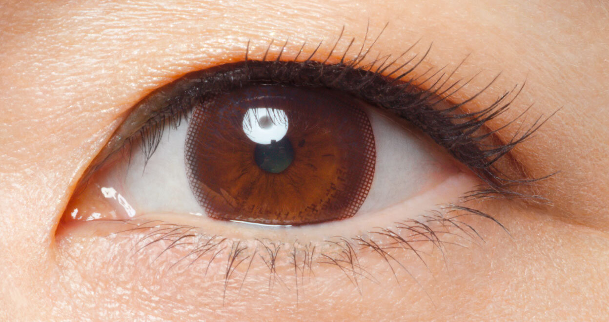 Brown1.jpg