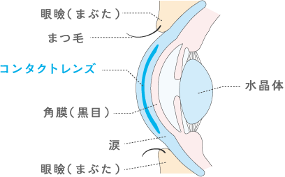 PC_more_mechanism_section01_img02.png