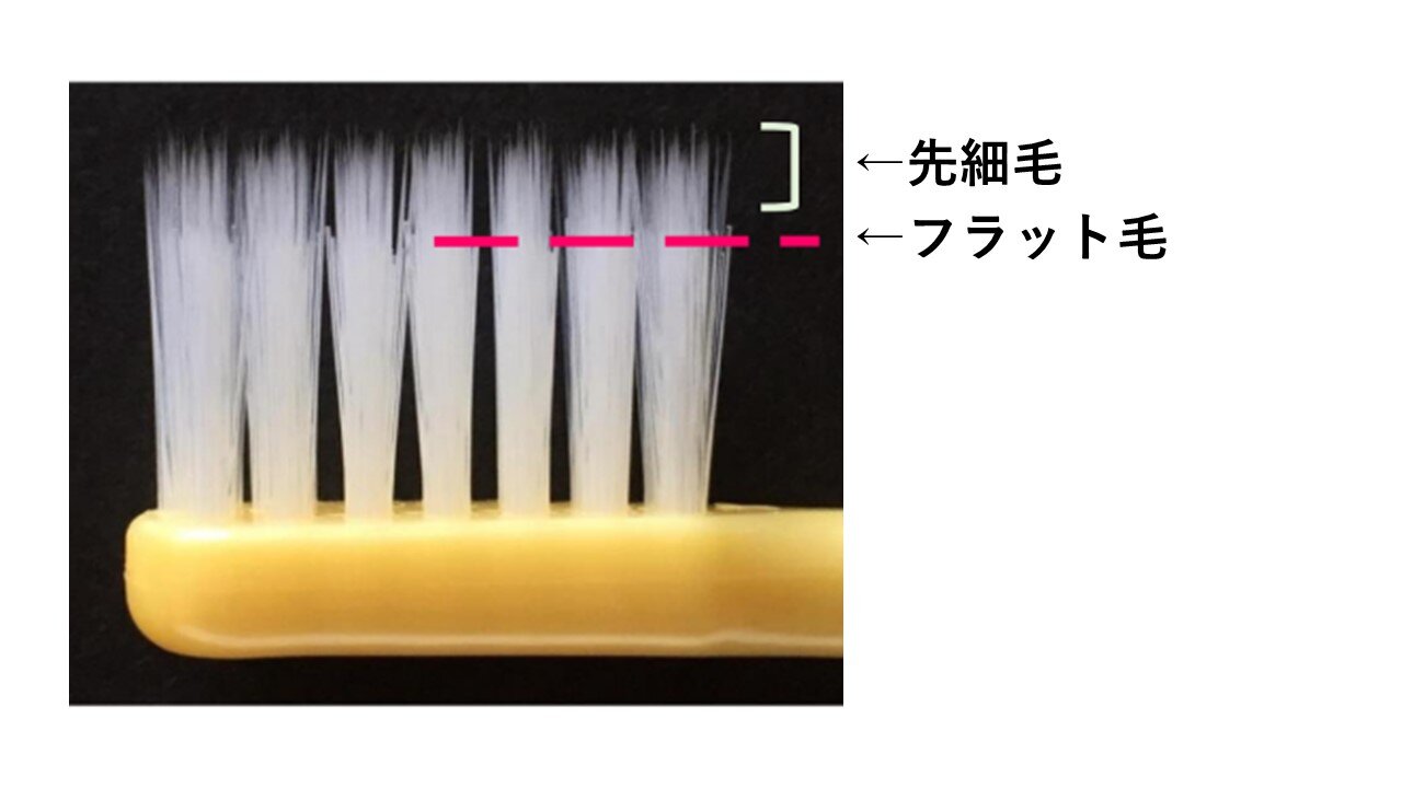 ハミフル.jpg