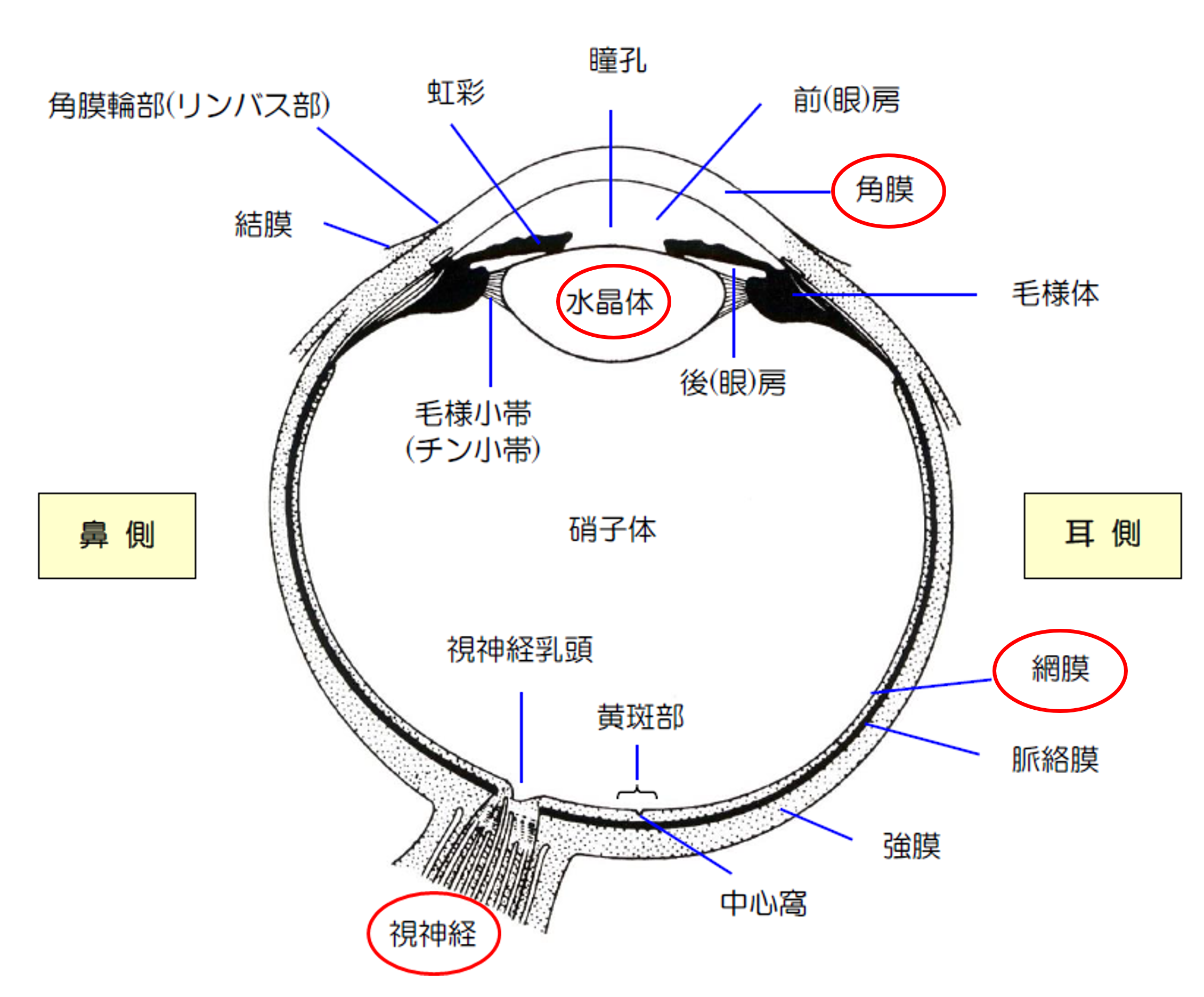 画像2.png