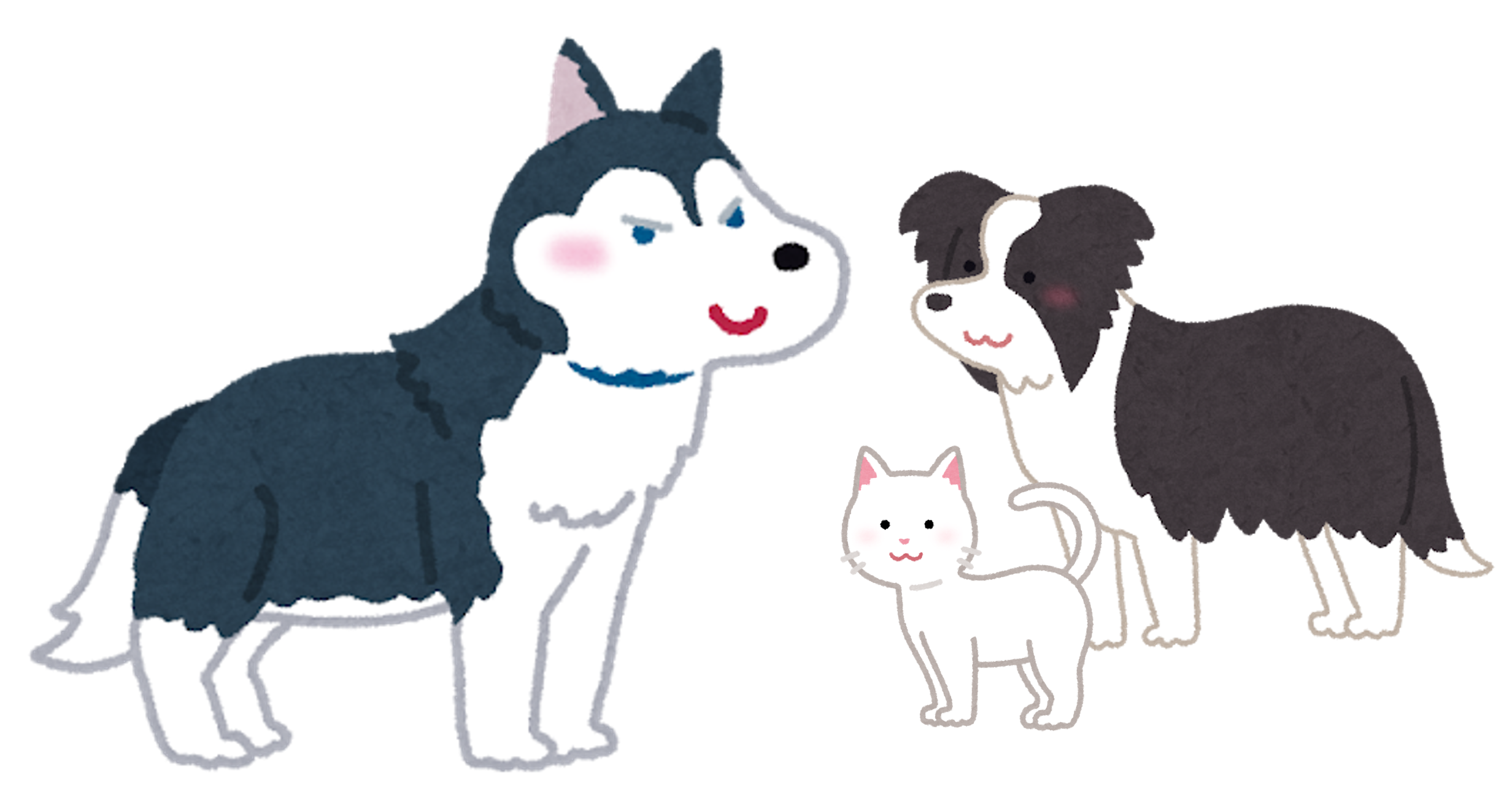 画像1.png