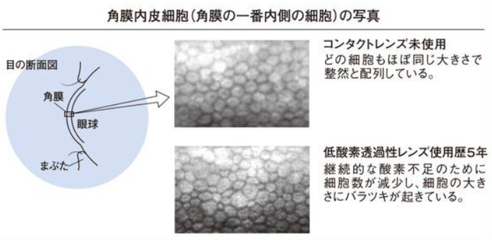 スクリーンショット 2025-06-27 180703.png