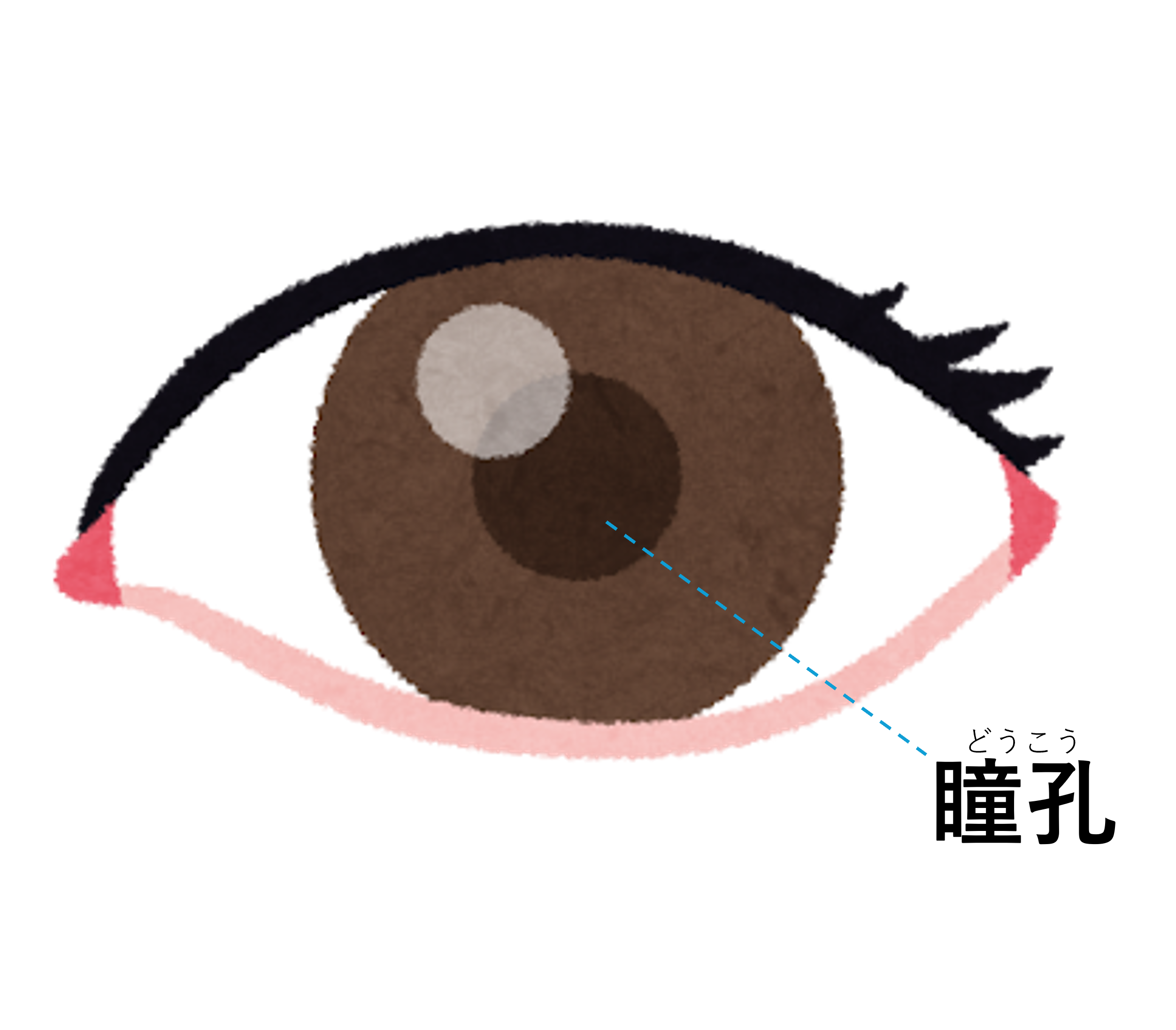 画像4.png