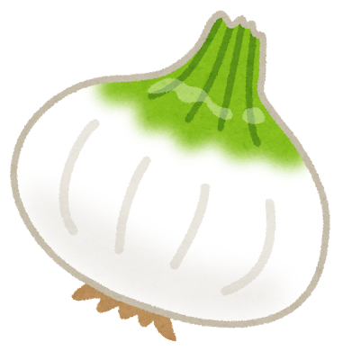 vegetable_shintamanegi.png