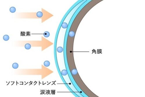 画像1.jpg