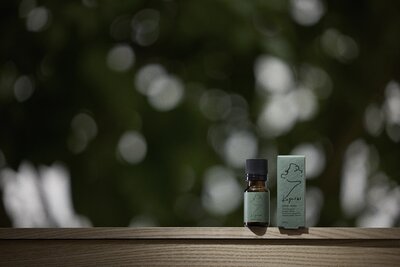 kagural01.jpgのサムネイル画像