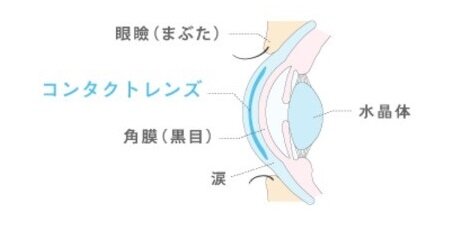 タイトルなし.jpg