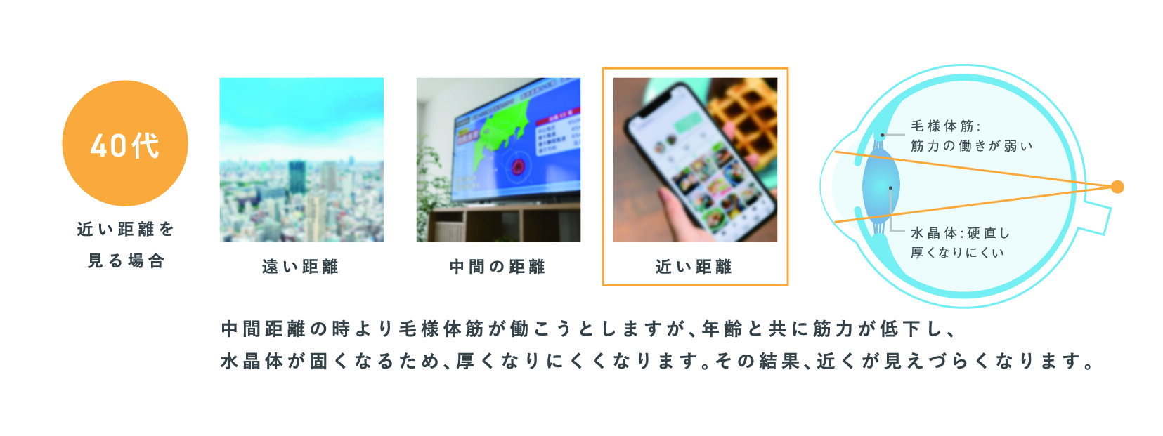 ラクティブ近点.jpg