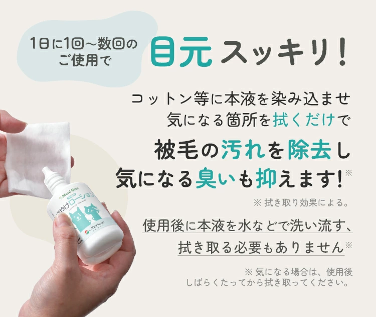 メニワン02.webp