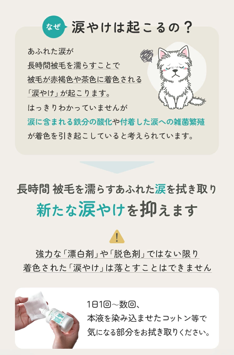 メニワン05.webp