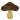 IMG_1116.GIF