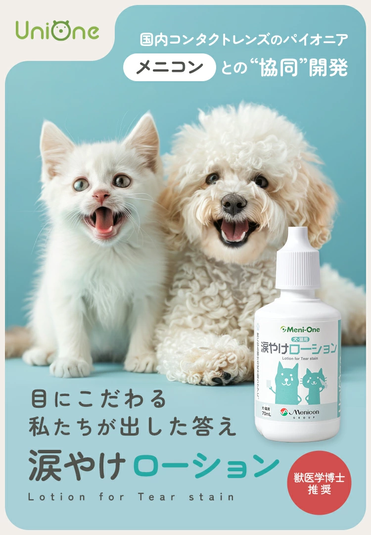 メニワン01.webp