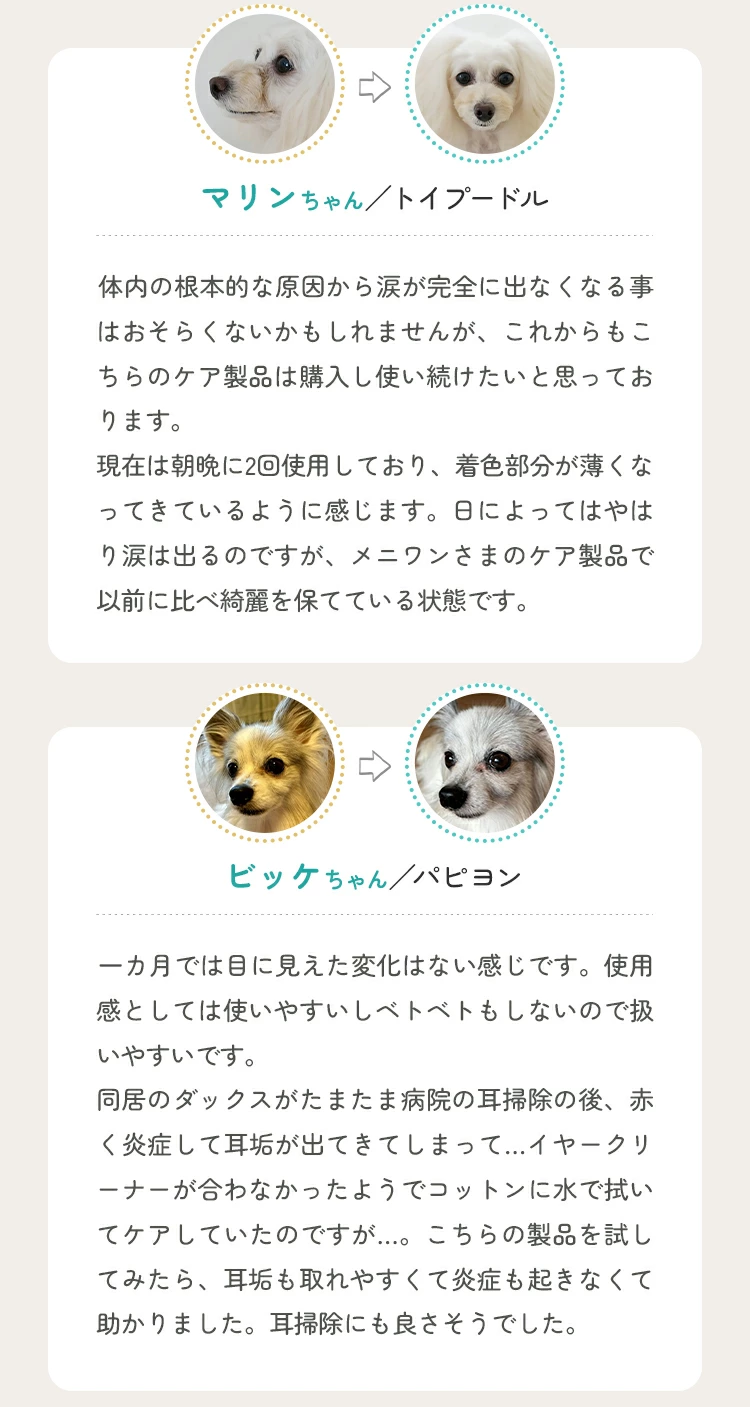 メニワン11.webp
