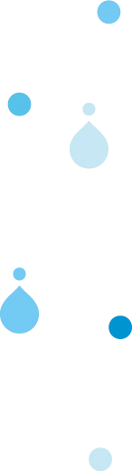 mv_bak_item_2.webp