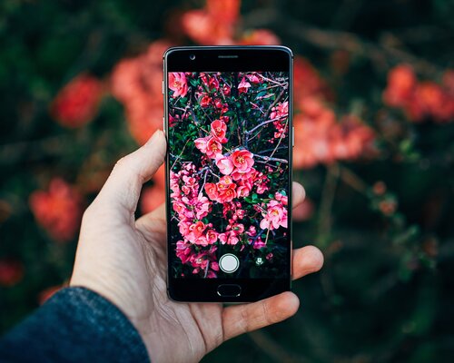 スマホで写真を撮る画像.jpg