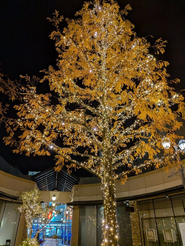 プレーゴ②.jpgのサムネイル画像