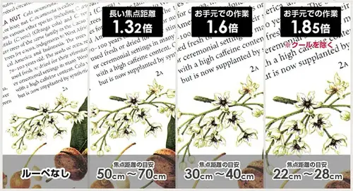 magnification.webp