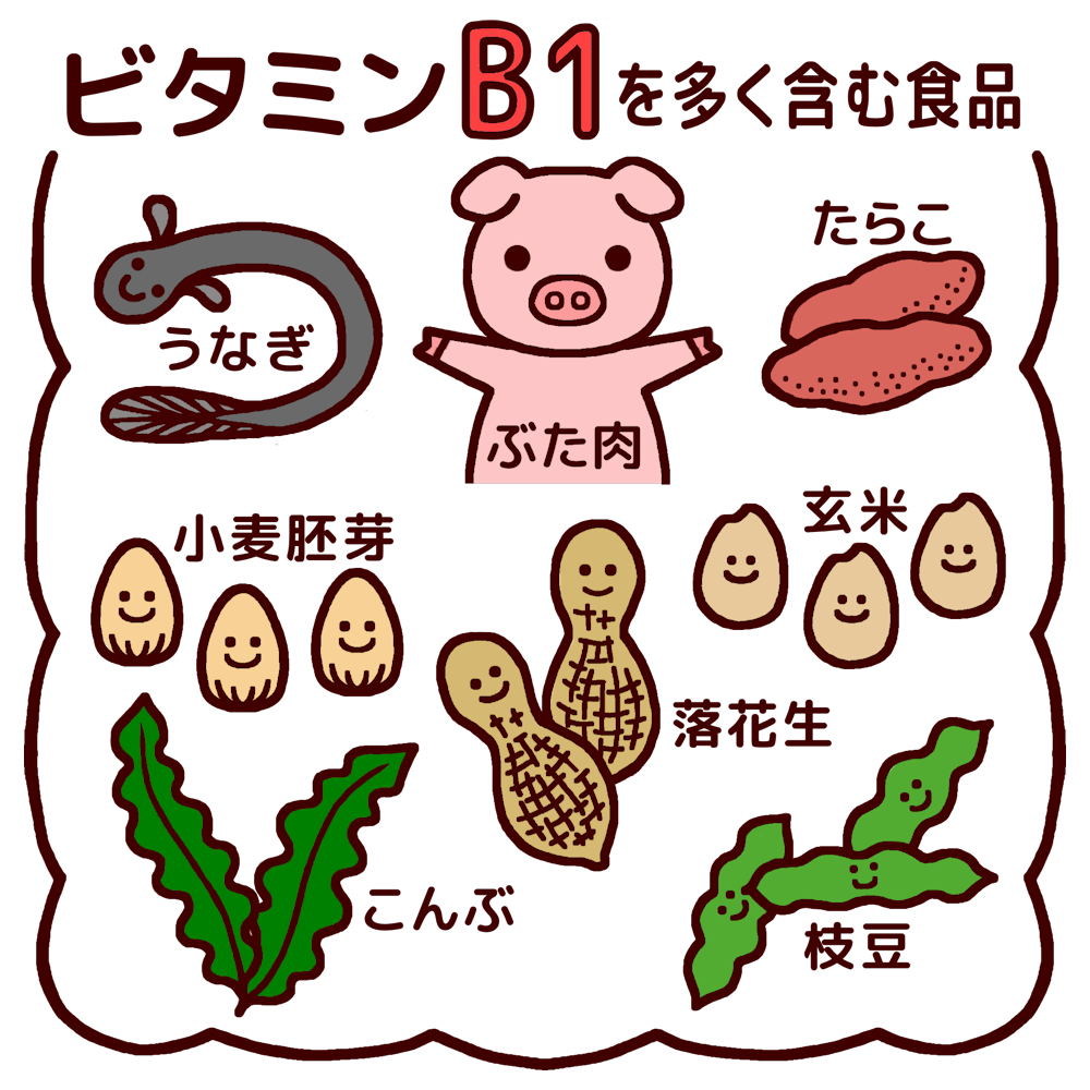 ビタミンB1.png