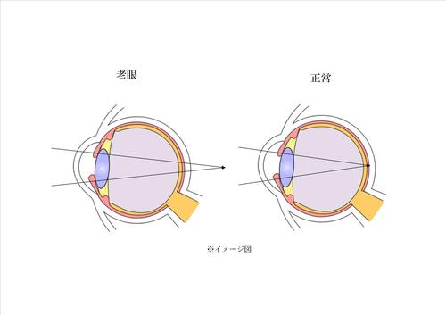 老眼画像1.jpg