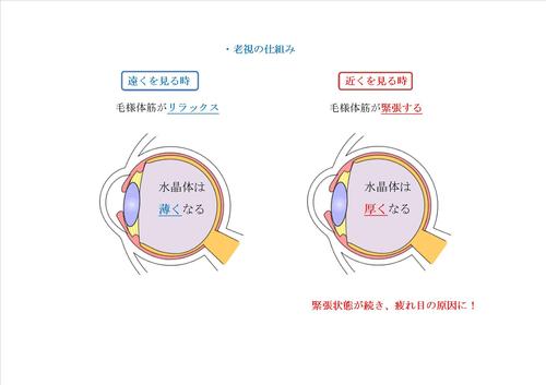 老眼画像2.jpg