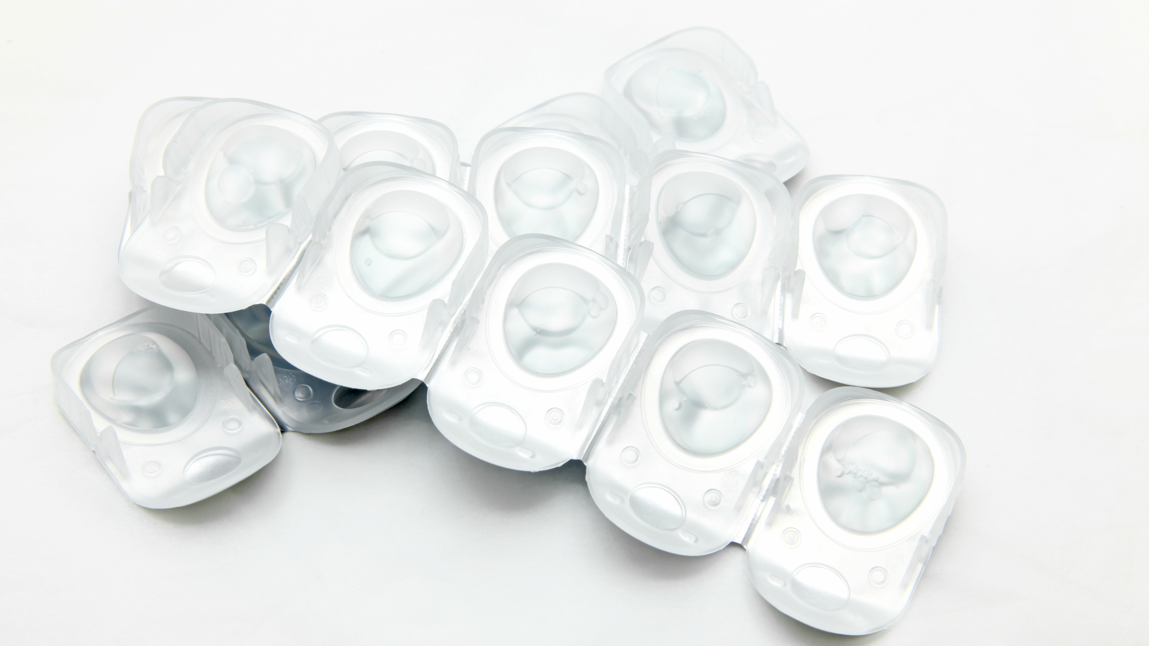 1DAYフリー素材- 2.png