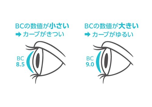 ベースカーブ.jpg
