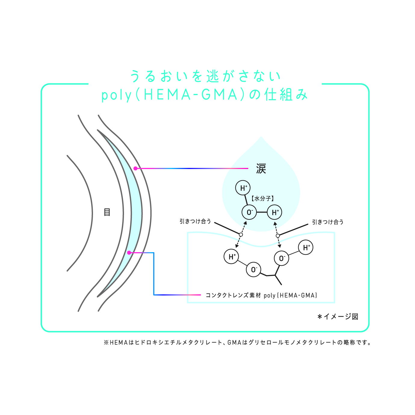 ソース画像を表示