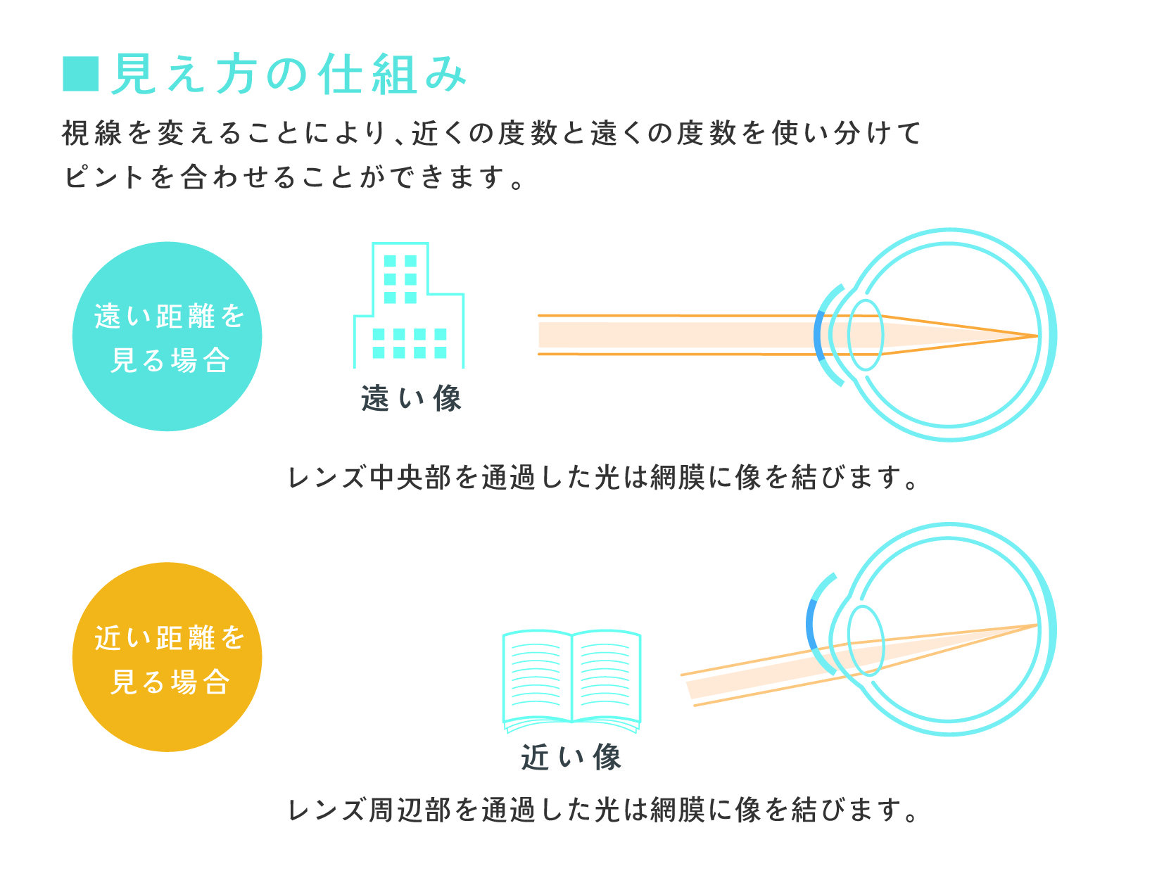 見え方の仕組み_交代視型_2022_0726_アートボード 1.jpg