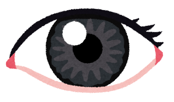 目イラスト.png