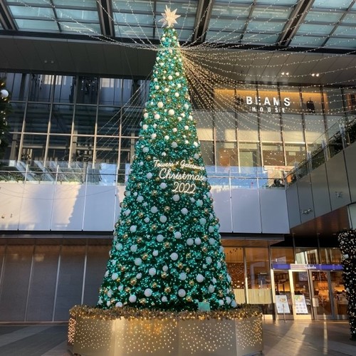 ゲートタワーのクリスマスツリー☆｜Menicon Miru JRゲートタワー店｜コンタクトレンズ販売店のMenicon Miru公式サイト