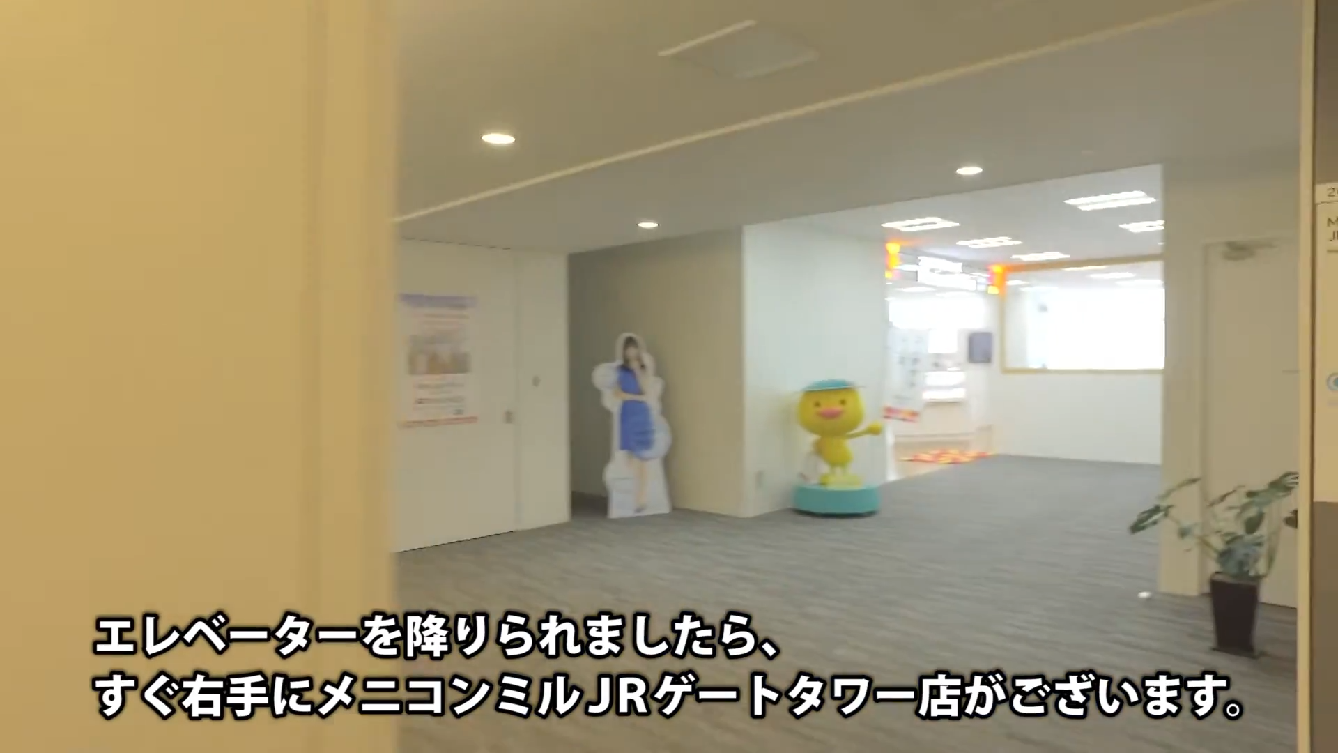 メニコン入口.png