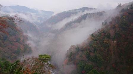 大吊り橋の中腹の景色.jpg