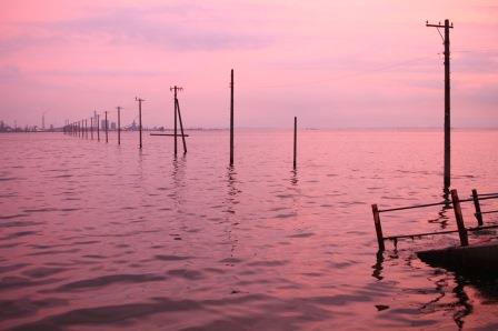 江川海岸　夕日ピンク.jpg