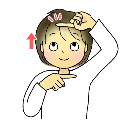 目の運動上下.png